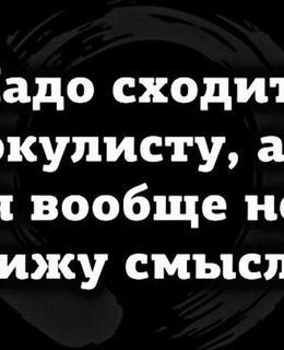 Алекс — фото 2