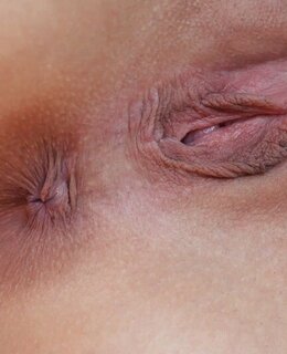 Лесик — фото 8