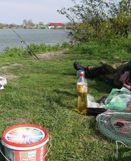 Александр — фото 2