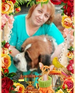 Алла — фото 6