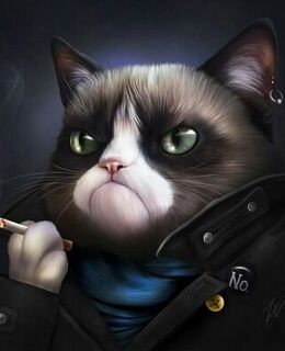 Barsik Fedotov — фото 1